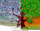 Лето, дерево, зима. Лето, зима, большой, абстрактные, иллюстрация, дерево,  цифровой, seasons. | CanStock